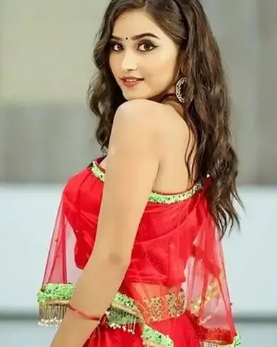 Escort In Faridkot